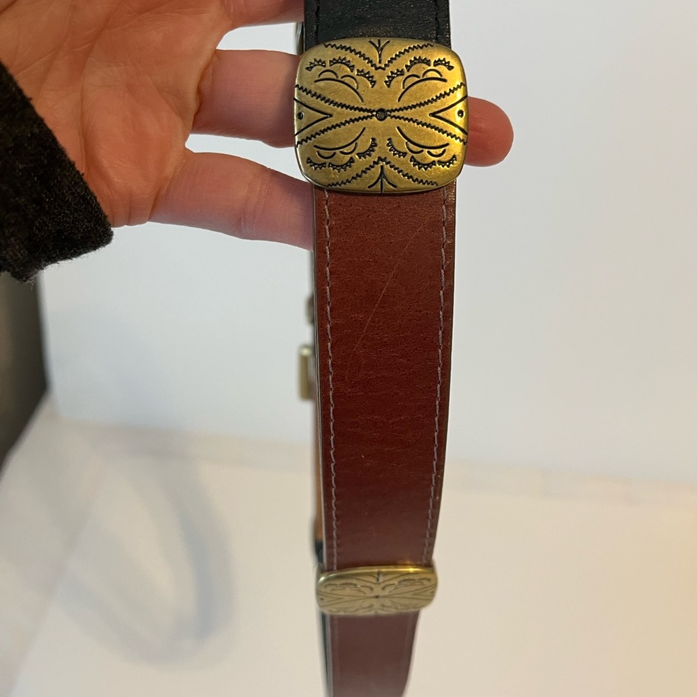 Multi-Color Leather Brighton Belt - image 6